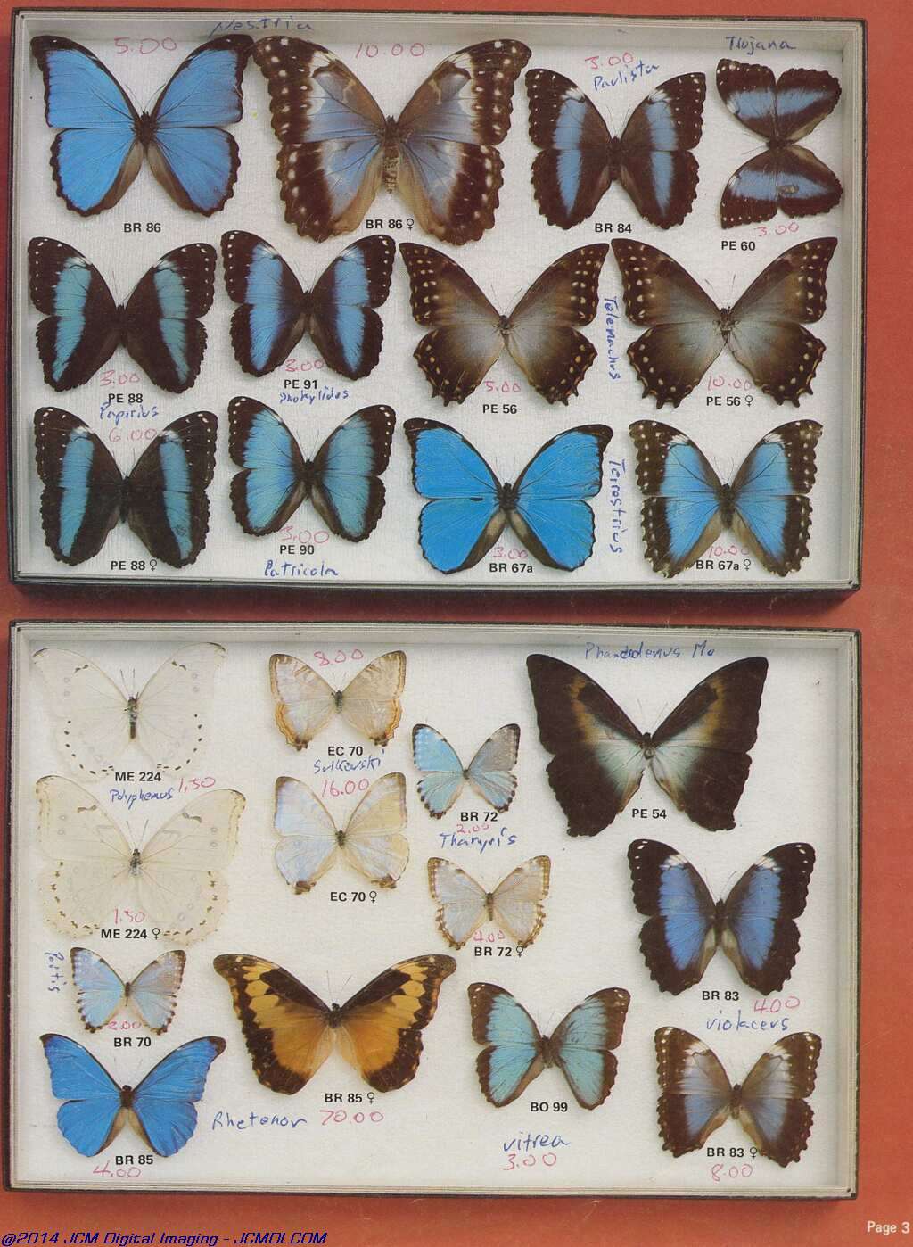 The Butterfly Company (NY) 20 page catalog 1978